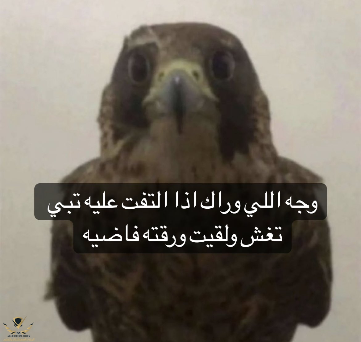 ADD42E54-0A15-4A88-901B-8DA1A6A15451.jpeg