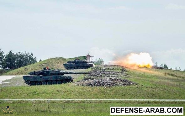 leopard-20160523.jpeg