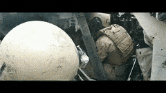 BountifulUnrulyHoopoe-max-1mb.gif