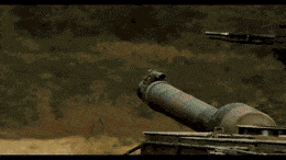 LargeVariableCarpenterant-max-1mb.gif
