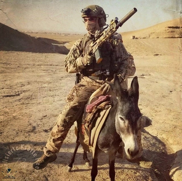 qucupj49gara1.jpg