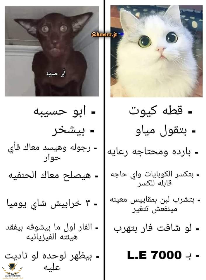 FP83QrhXwAkxGHY.jpg