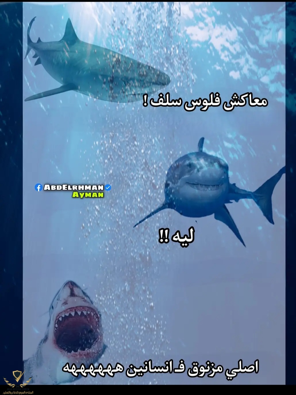 Screenshot_٢٠٢٣٠٤١٩_٢٣١٠٤٥_Chrome.jpg