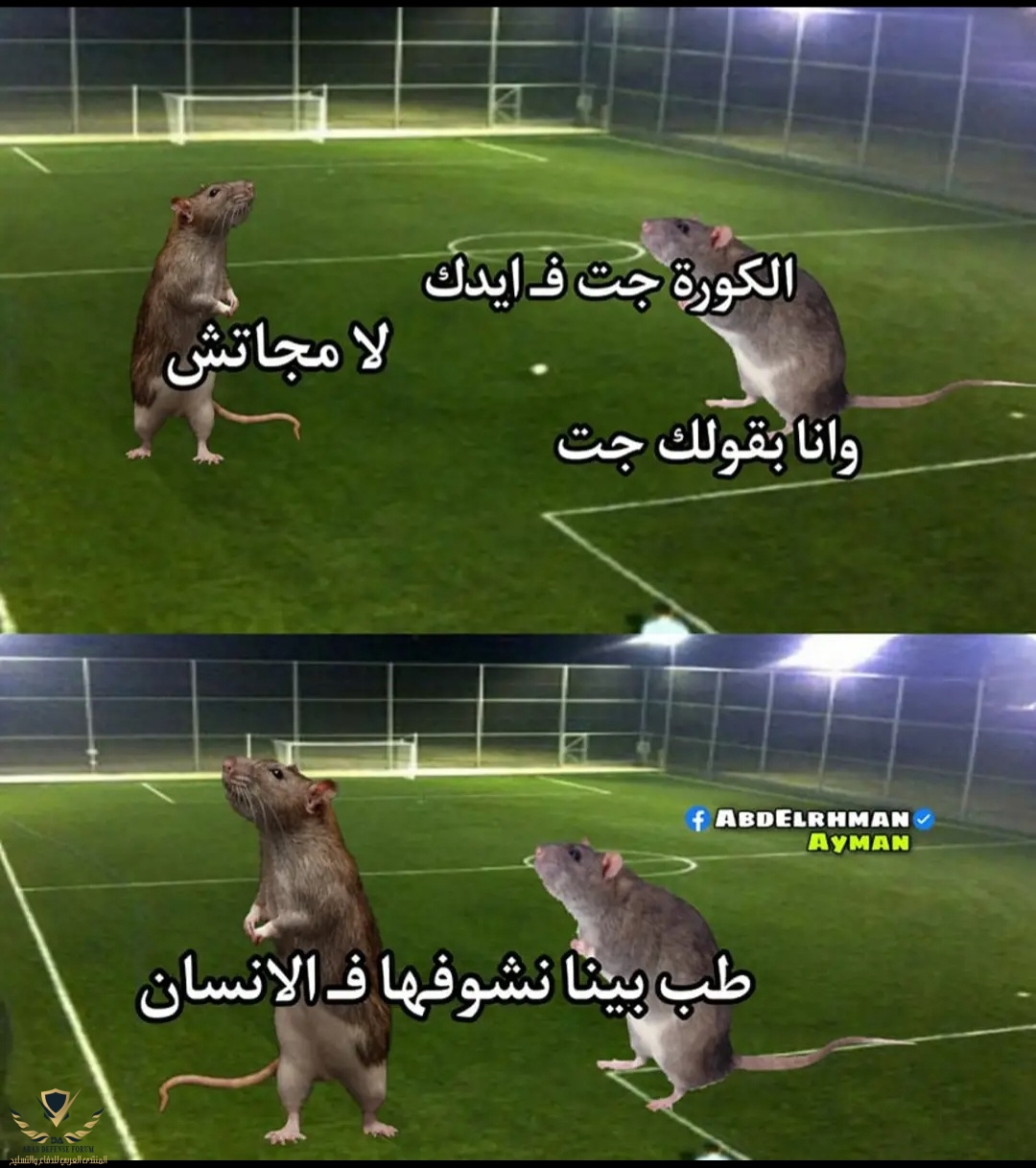 Screenshot_٢٠٢٣٠٤٢٢_٠٠٥٩٥٨_Chrome.jpg