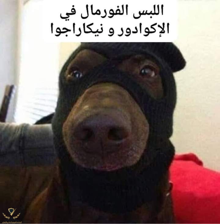 FB_IMG_1683126635505.jpg