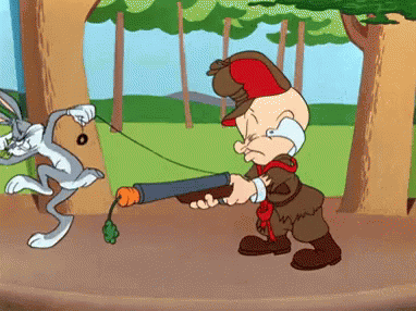 hunting-shot-gun (1).gif