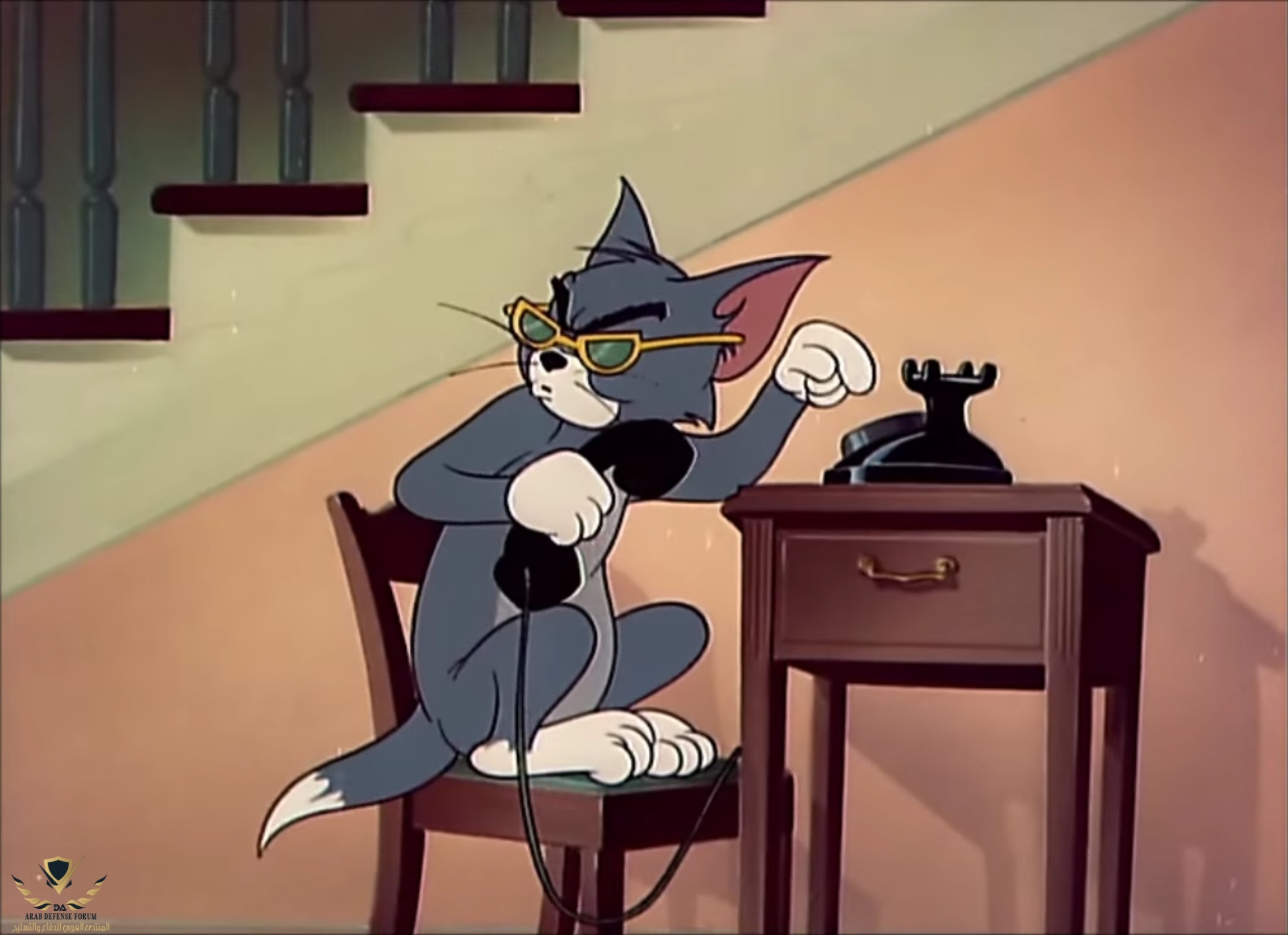 marton-adam-marton-tomesjerry.jpg