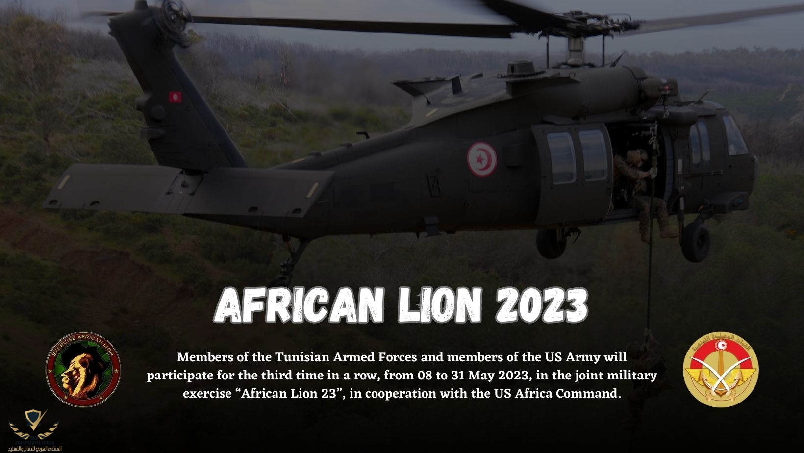 african lion 2023.jpg