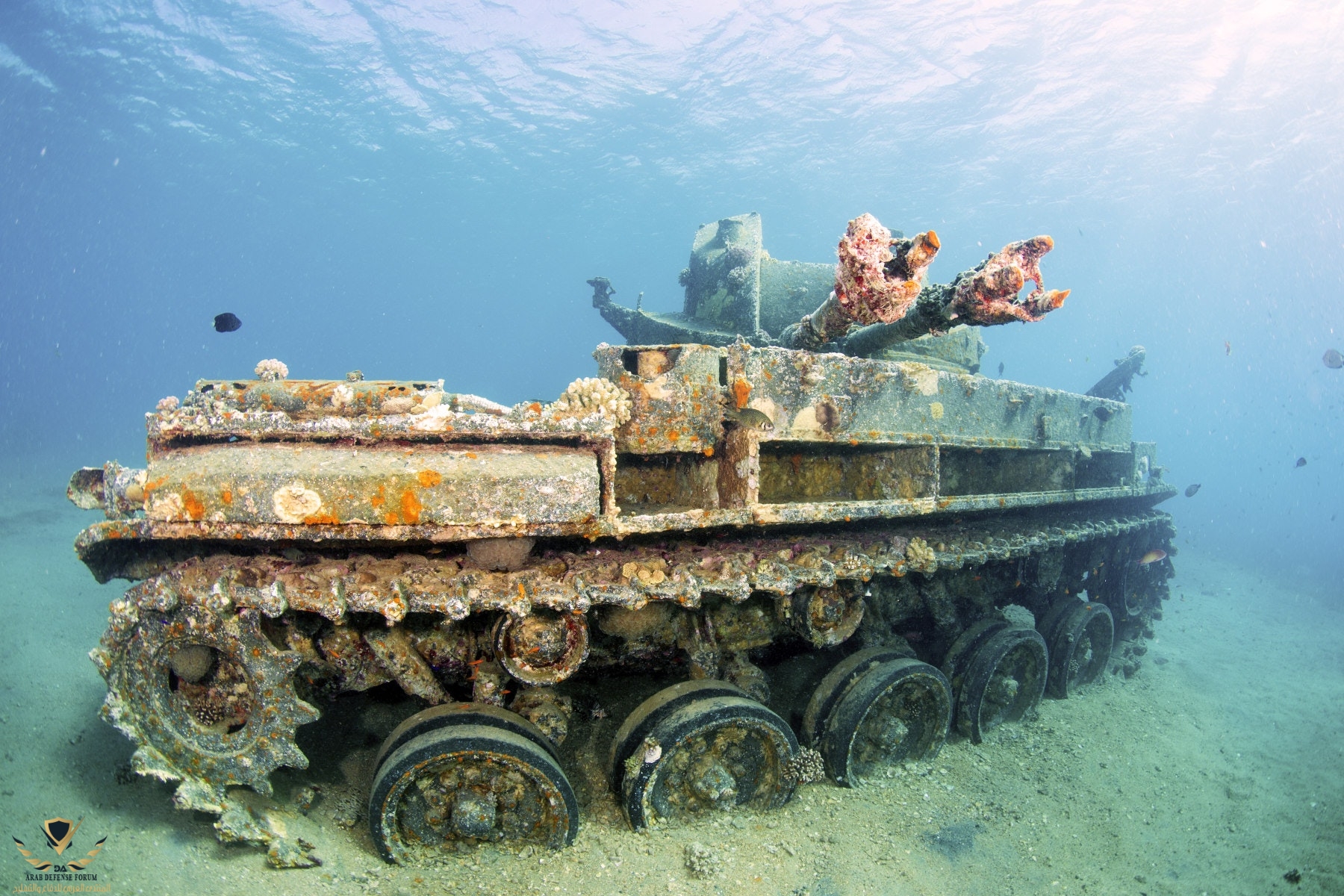 tank wreck red sea.jpg