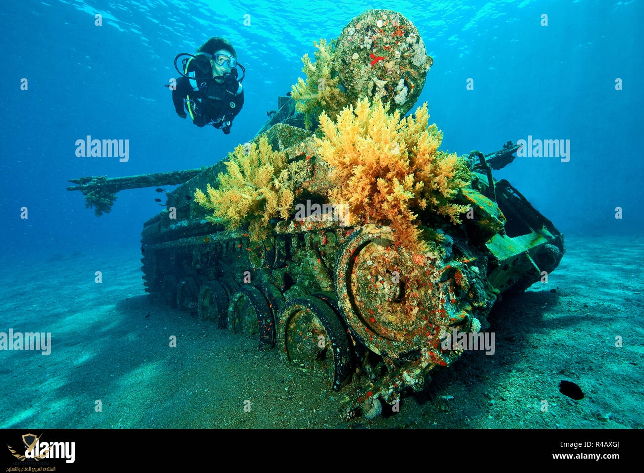 scuttled-tank-dive-site-seven-sisters-aqaba-jordan-red-sea-minor-asia-R4AXGJ.jpg
