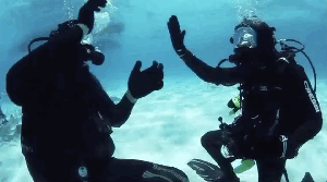 winepassport-scuba-diving-champagne-sea-treasure-1.gif