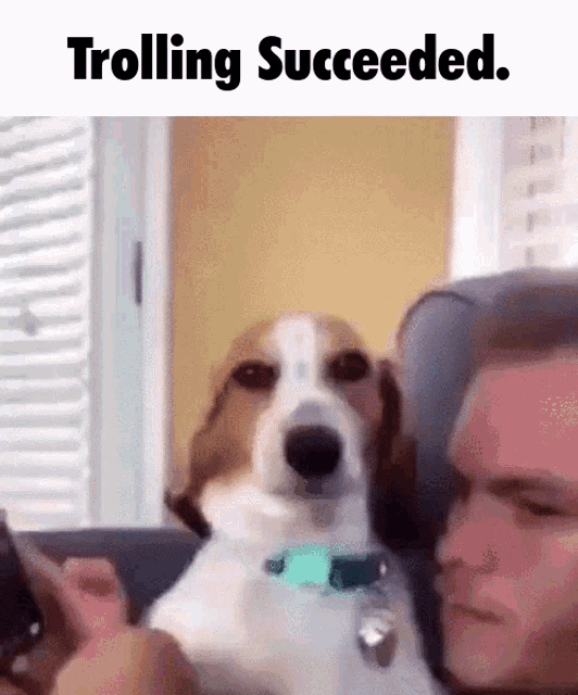 trolling-success.gif