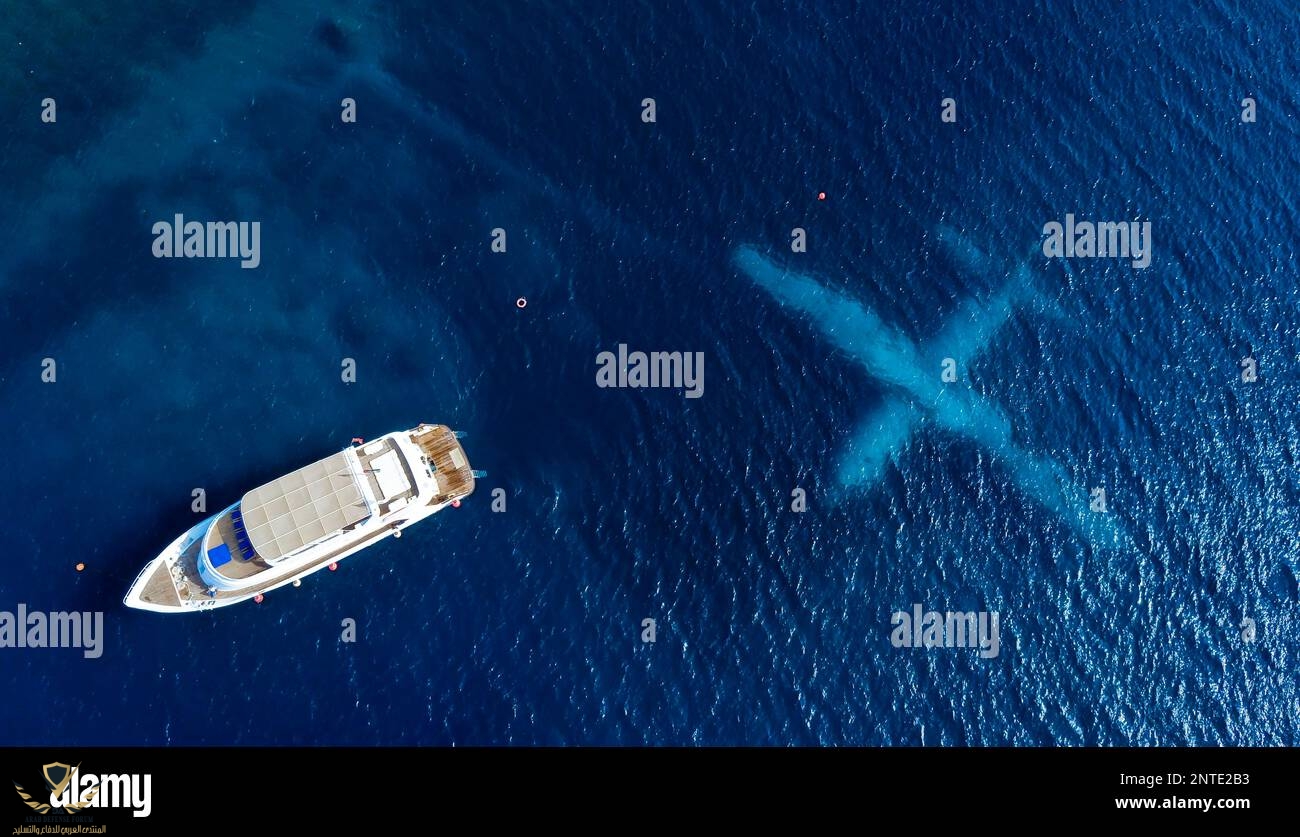 drone-photo-after-sinking-plane-aerial-photo-c130-hercules-c-130-transport-plane-dive-site-red...jpg
