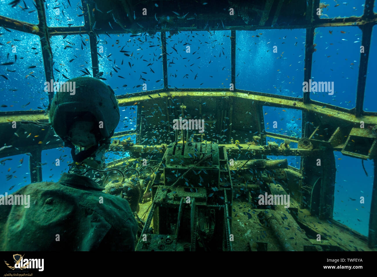 a-pilot-dummy-surrounded-by-schools-of-fish-sits-at-the-cockpit-of-a-c-130-crash-in-the-red-se...jpg