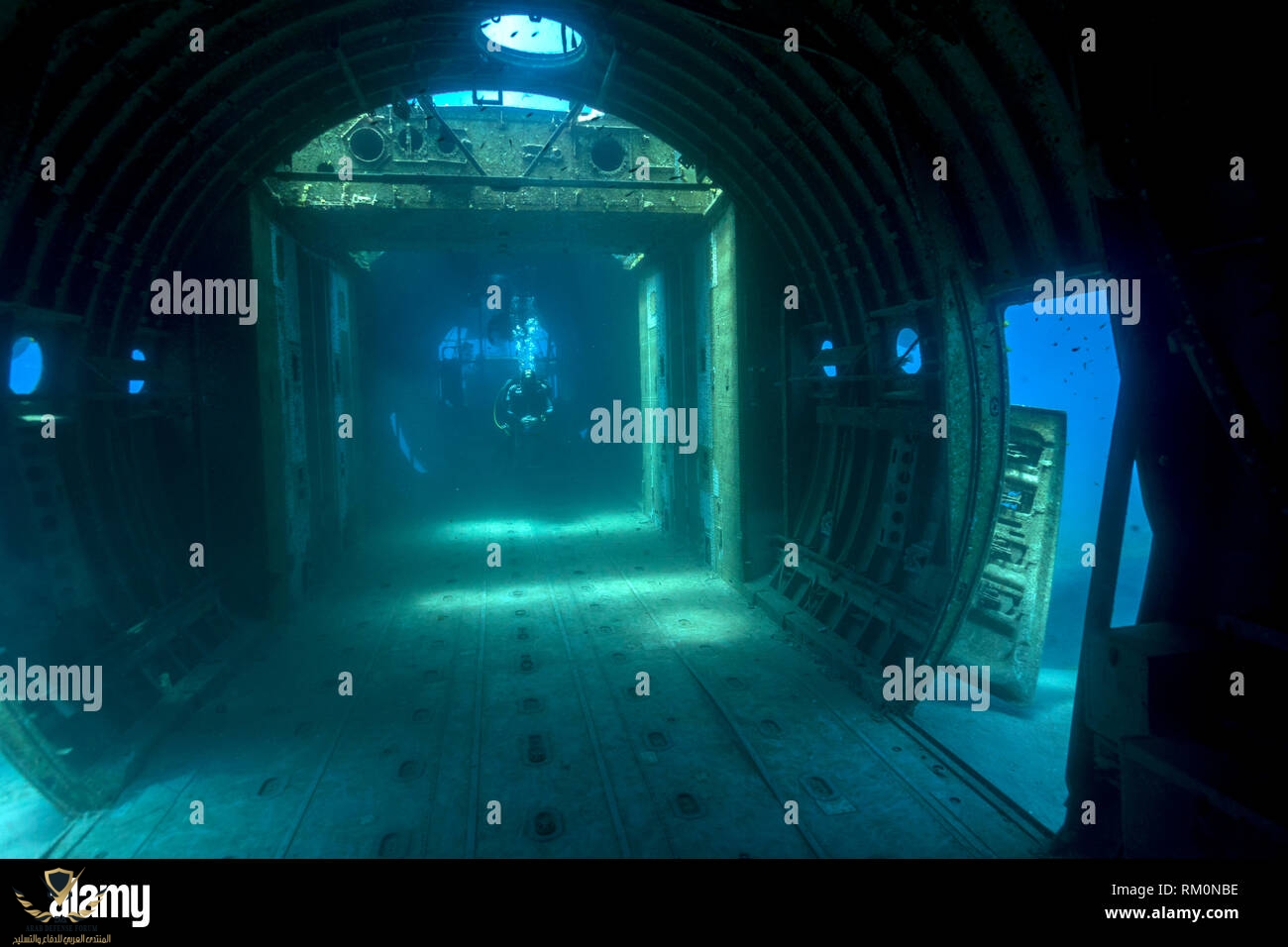 a-diver-swims-along-the-cockpit-of-a-wrecked-c-130-cargo-plane-in-the-waters-of-the-red-sea-ne...jpg