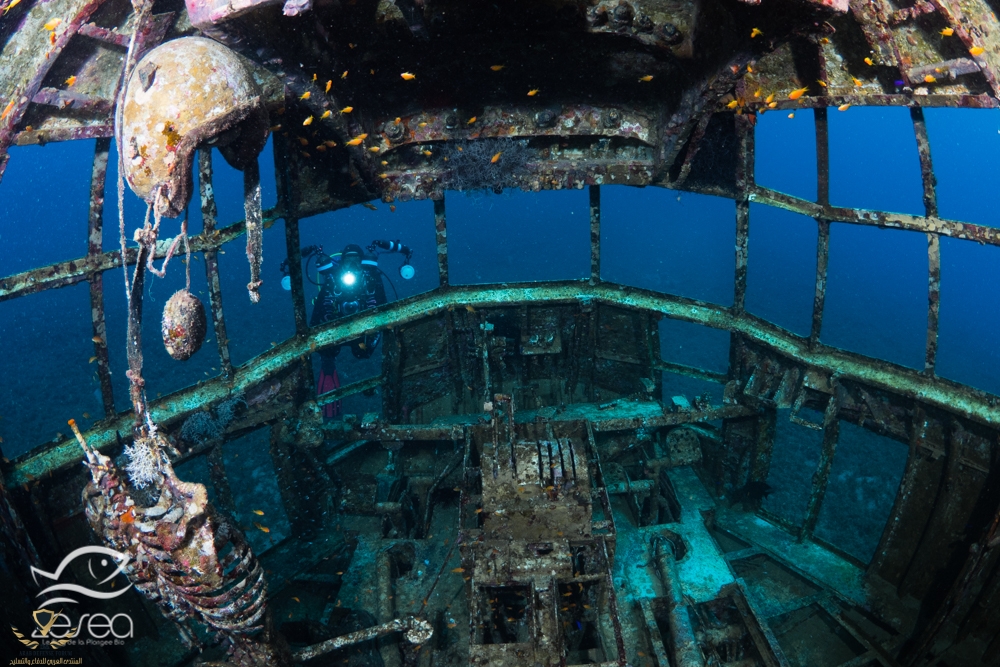 Cockpit-C130-Aqaba.jpg