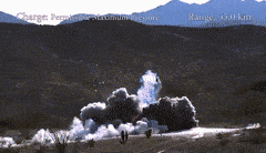 CarefulSeparateFunnelweaverspider-max-1mb.gif