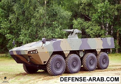 patria1.jpg