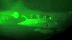1052796961jet-fighter-night-ops-4.gif