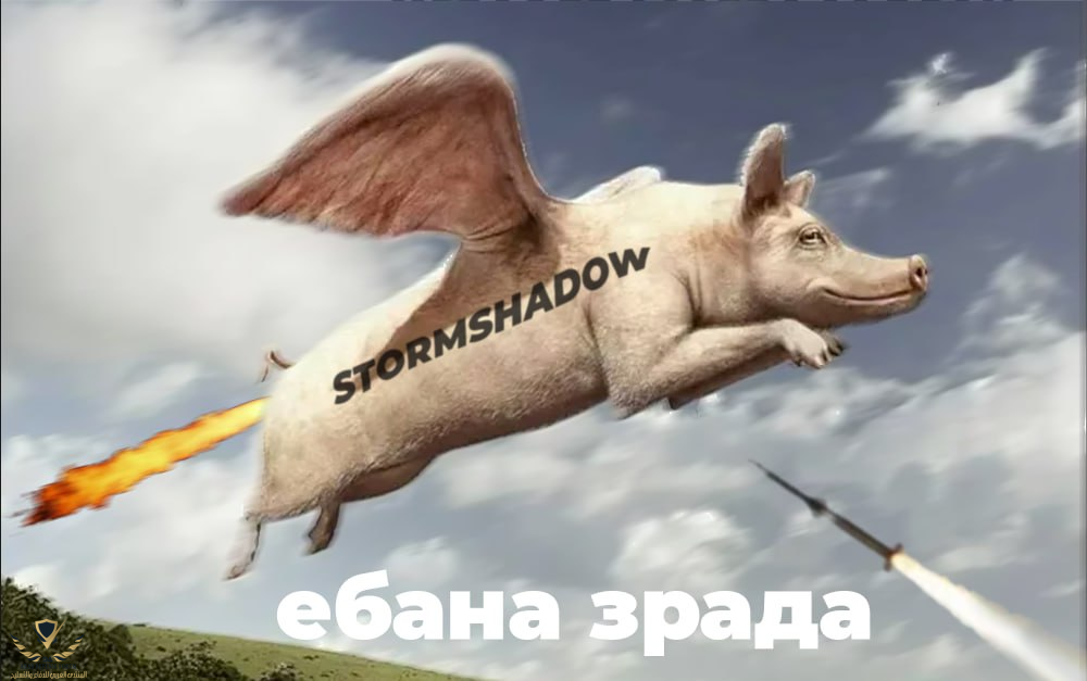 1687538571054.png