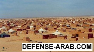 tindouf-310x174.jpeg