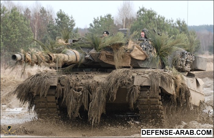 Leopard2A6Tarn.jpeg