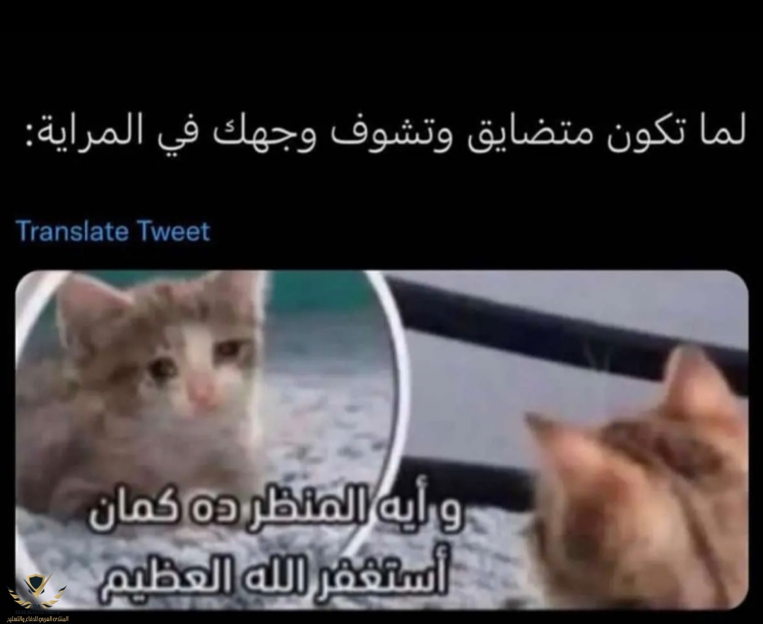 Screenshot_٢٠٢٣٠٧٠٦_٠٠٣١١٩_edit_727587122969110.jpg