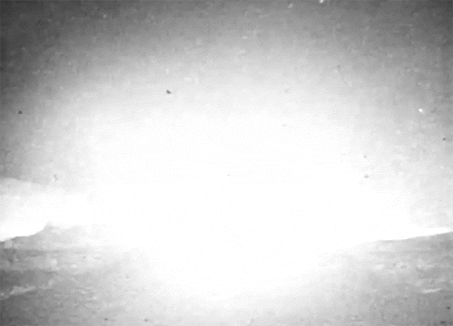 X8wH.gif
