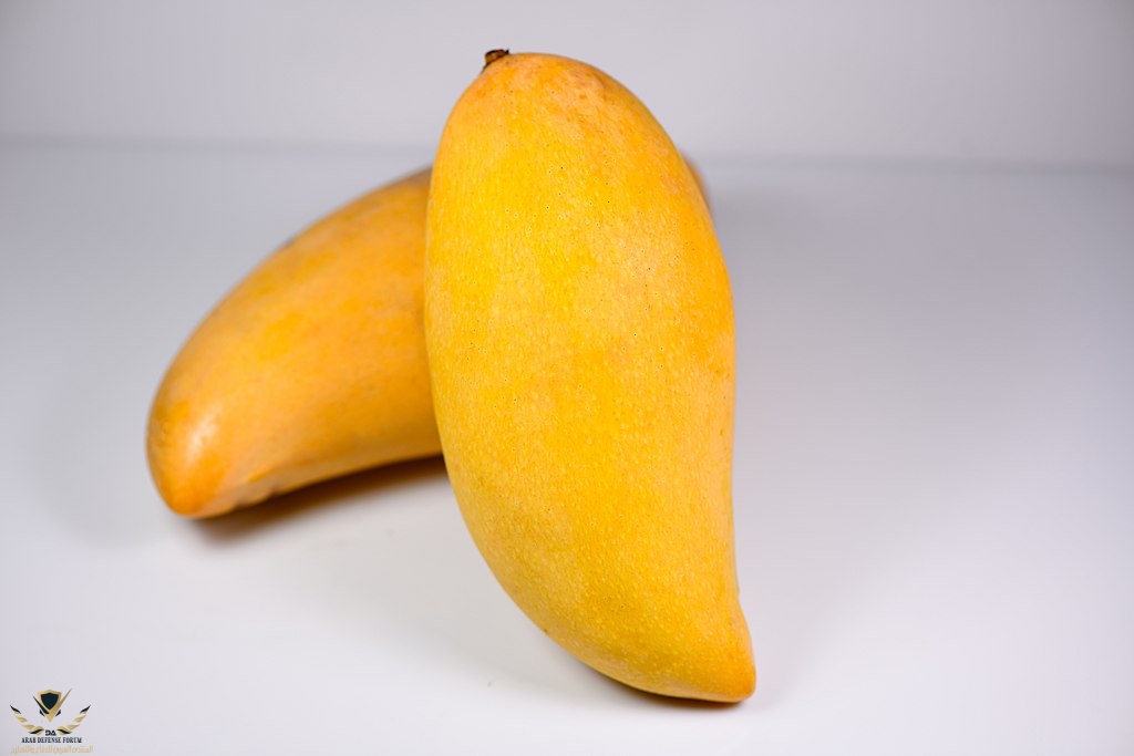 1690011875370.png