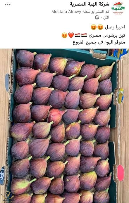 images (4) (5).jpeg