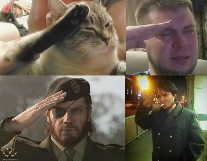 b123556c971b36e960868d19f660edd6cat-and-men-salute-military-style-meme-respect.jpg