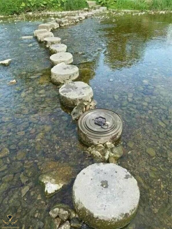 38 Images Filled With NOPE_.jpeg