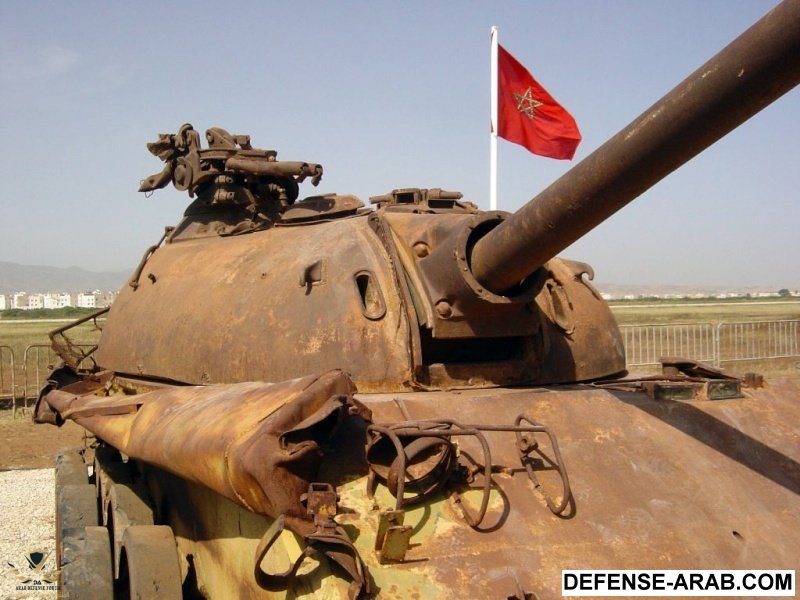 t559vn10.jpg