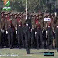 gif 2.gif
