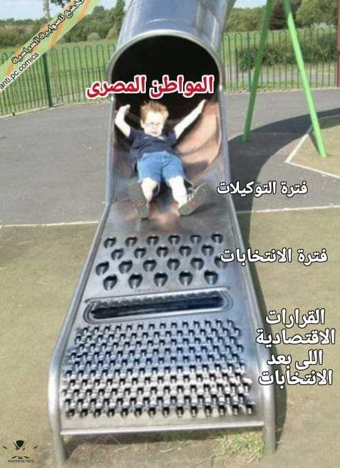 FB_IMG_1695986319138.jpg