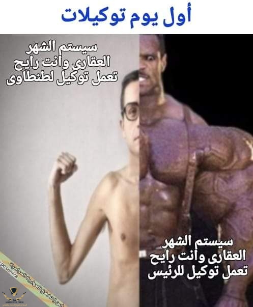 FB_IMG_1695986992279.jpg