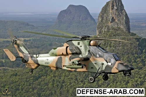 TIGR195t.jpeg