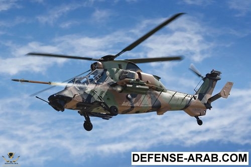 TIGR378t.jpeg