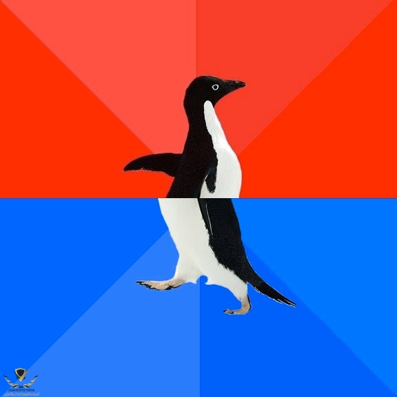 Socially-Awesome-Awkward-Penguin (1).jpg