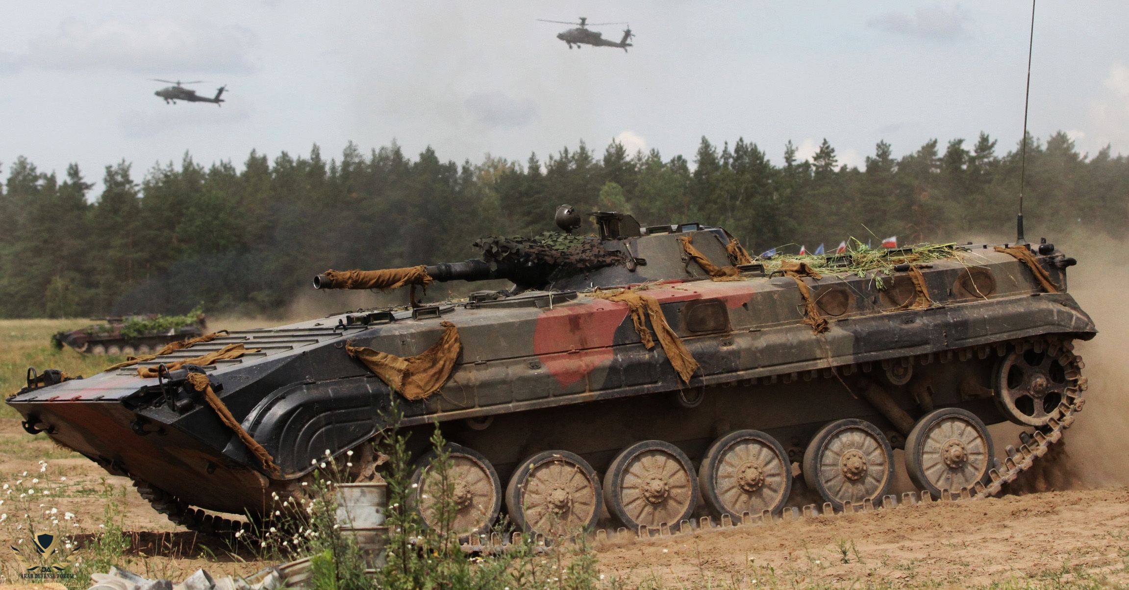 Polish_BWP-1_(BMP-1)_during_NATO_training_exercise_Saber_Strike_18.jpg