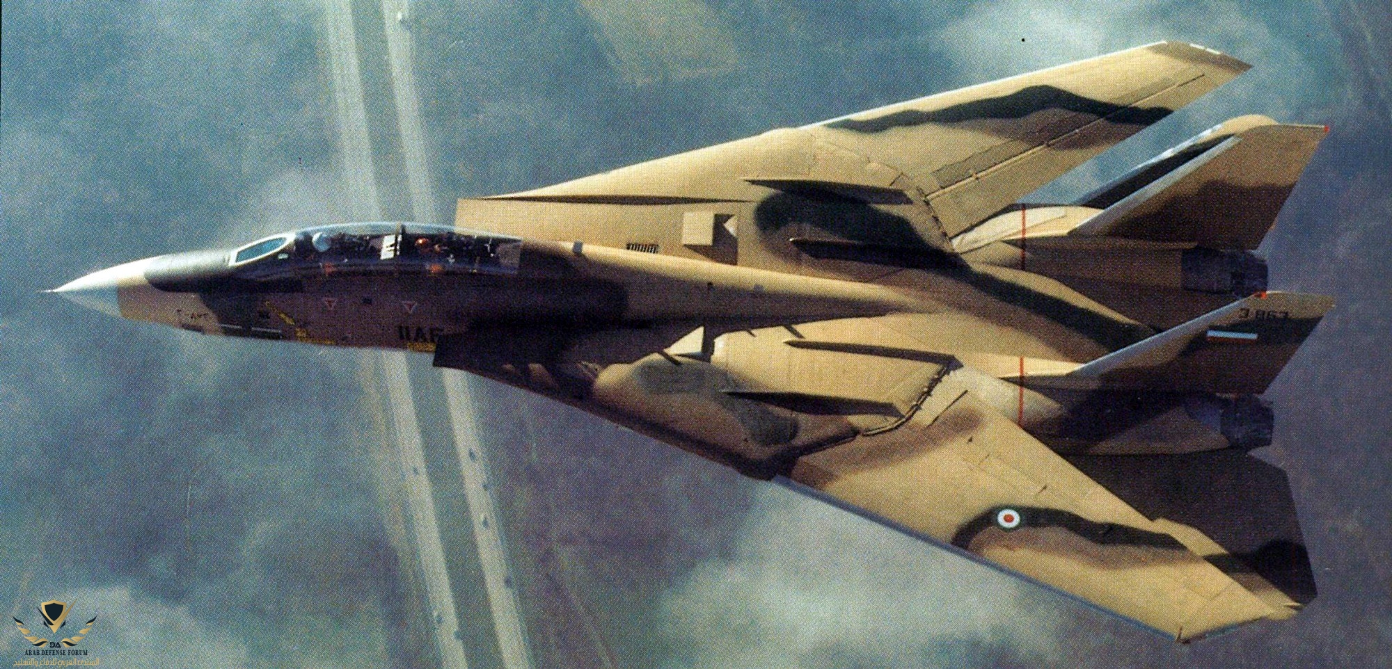 Pre-delivery_photograph_of_the_first_F-14A_built_for_Iran_taken_during_a_test_flight._This_air...jpg