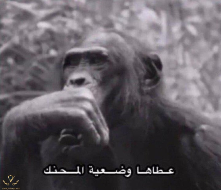 FMXQSrMX0AQbHrx.jpg