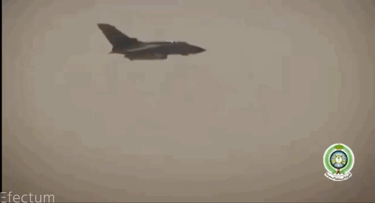 VideoToGif_GIF.gif