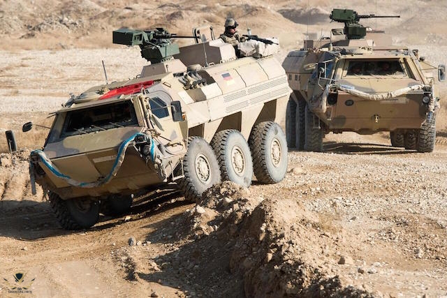 Fuchs-Mali.jpg