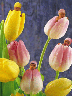 babyplant_rno38kbl.gif