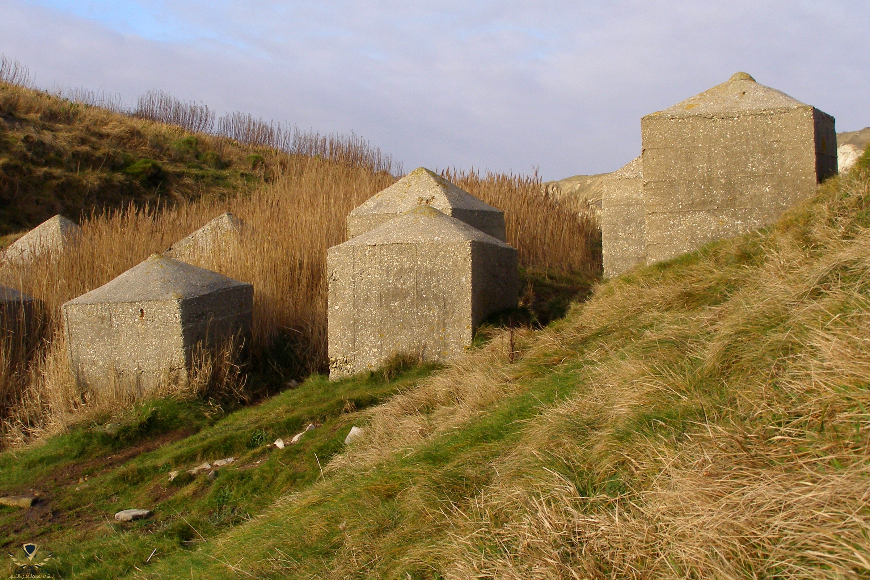 Concrete_tank_trap_pondfield_cove_dorset.jpg