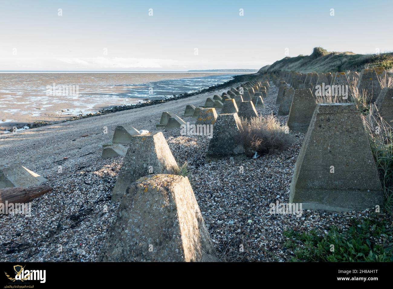 world-war-two-tank-trap-defences-on-the-isle-of-grain-kent-england-2H8AH1T.jpg