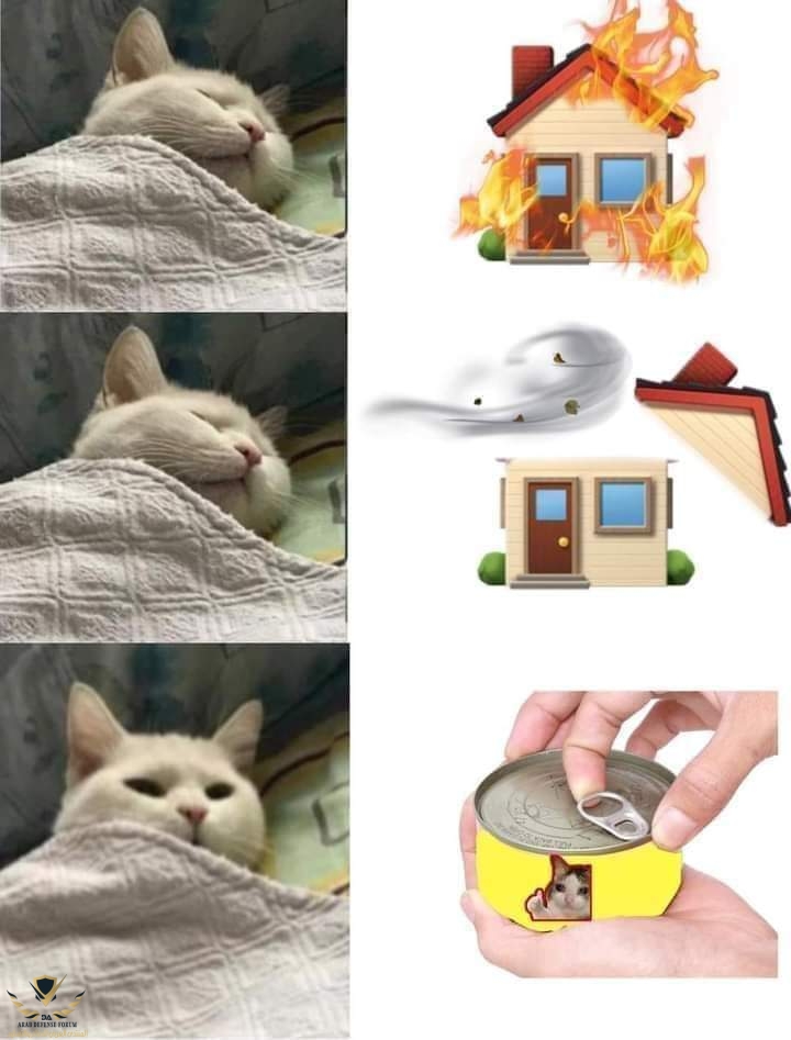 GBa-n_DWIAETiW8.jpg
