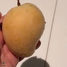 1704087567626.png