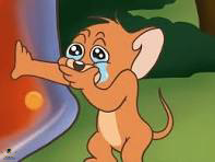 1704465369773.png